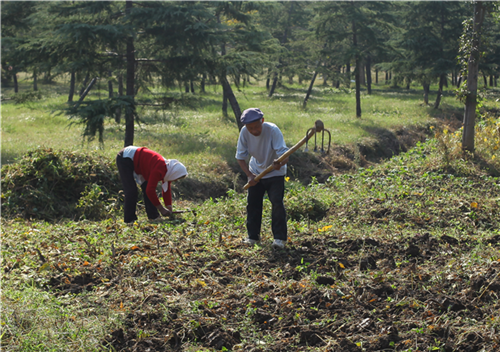 乡识周庄｜香村·祁庄的香间奇遇记（上）